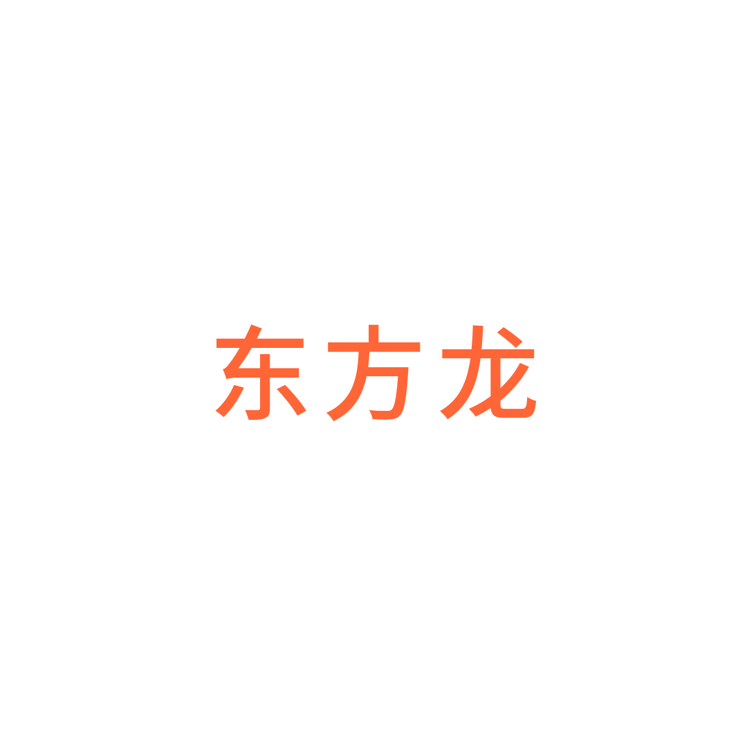 丽水市东方龙家具有限公司