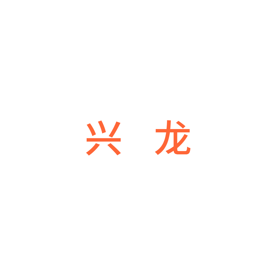 丽水市兴龙市制品厂
